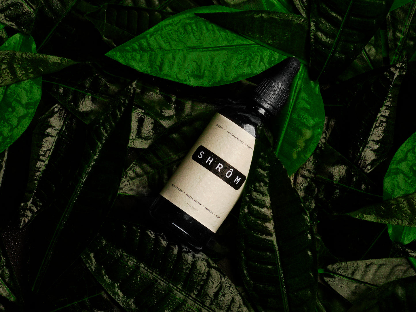 Organic Reishi Mushroom 15:1 Extract (0% Alc) - 100ml