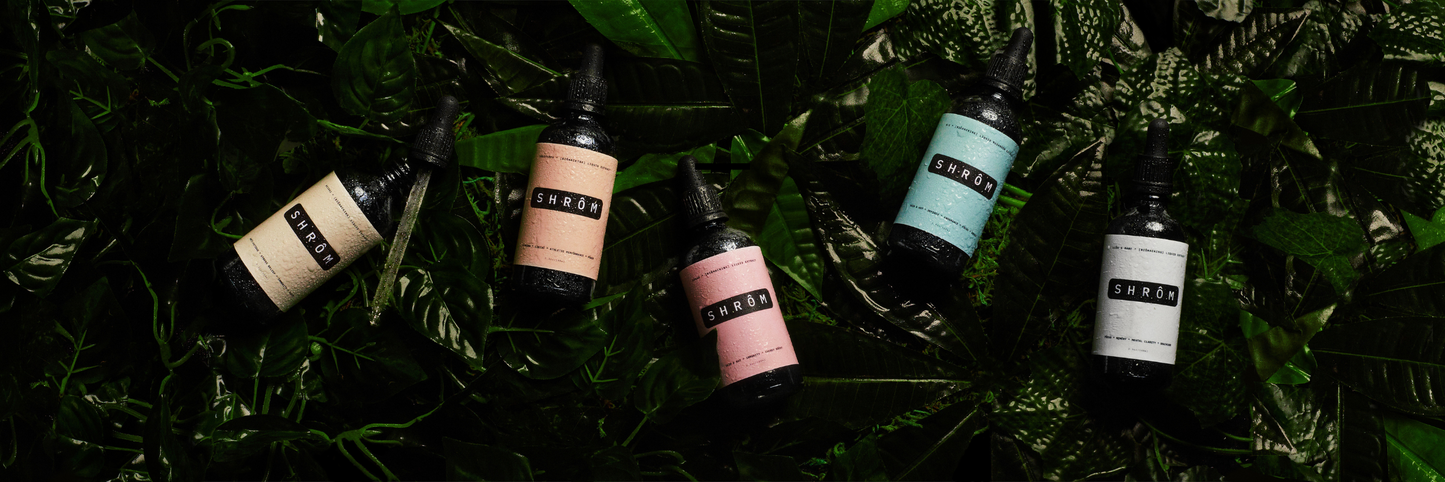 Medicinal Mushroom Extracts