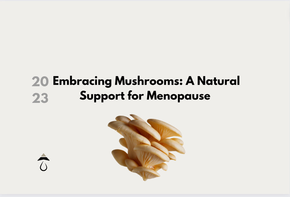 Embracing Mushrooms: A Natural Support for Menopause