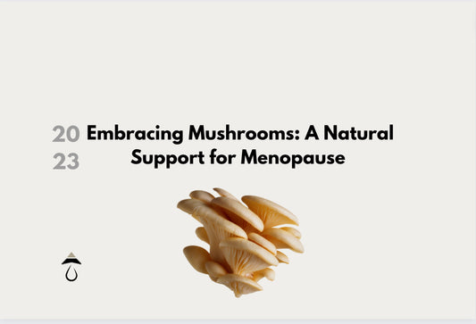 Embracing Mushrooms: A Natural Support for Menopause