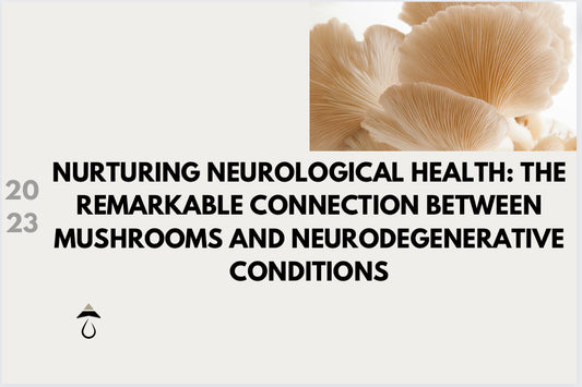 Nurturing Neurological Health: The Remarkable Connection Between Mushrooms and Neurodegenerative Conditions