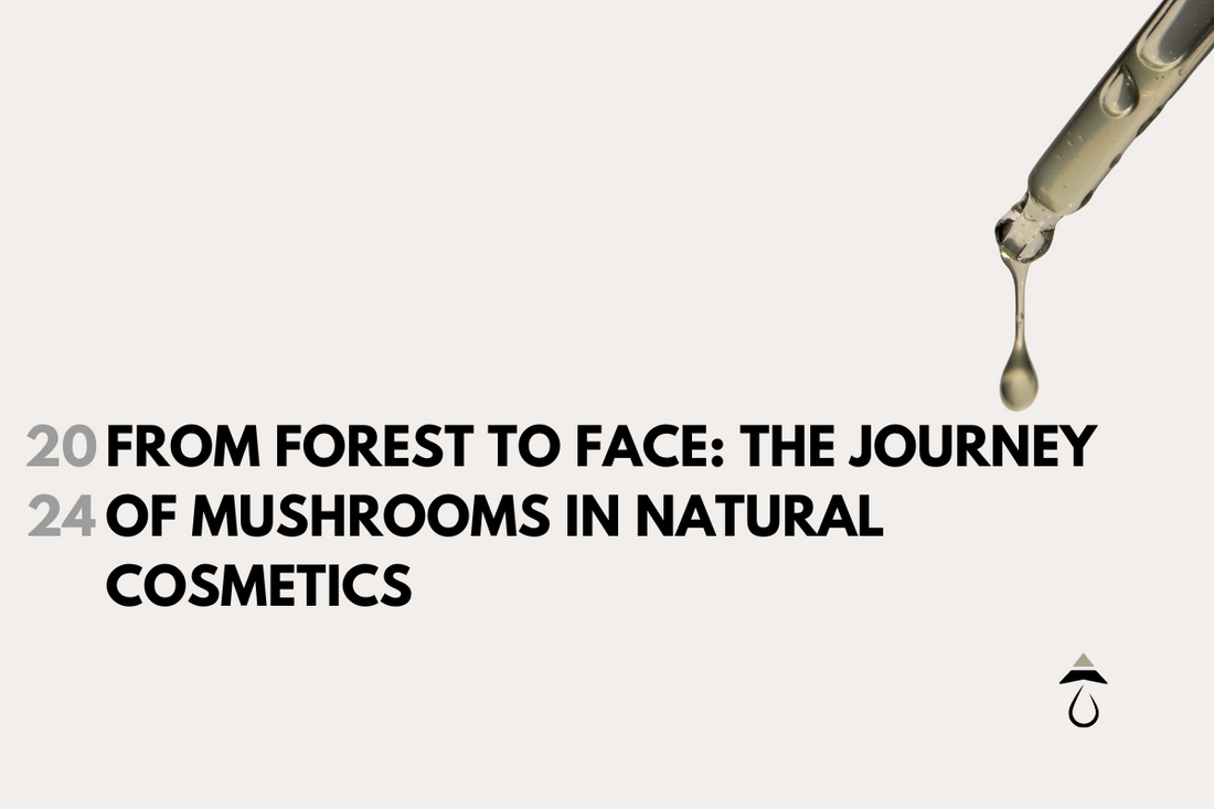 From Forest to Face: The Journey of Mushrooms In Natural Cosmetics