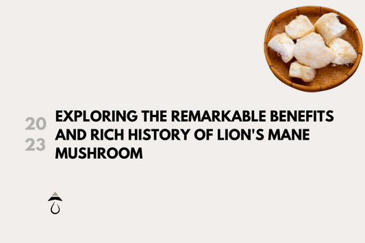 Exploring The Remarkable Benefits and Rich History of Lion`s Mane Mushroom