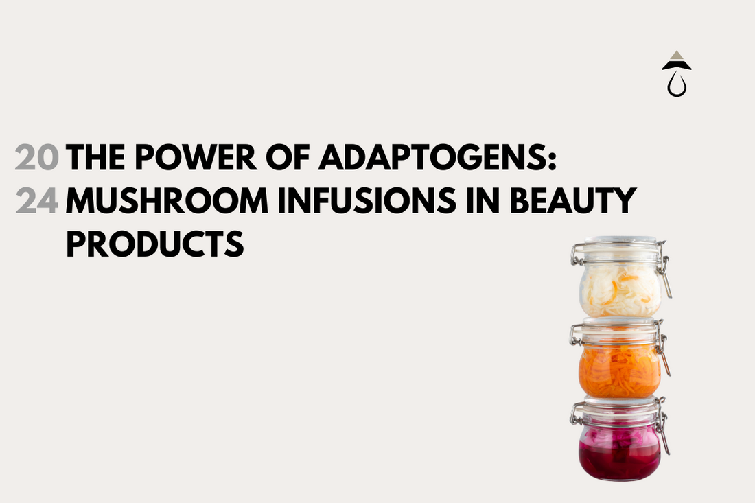 Adaptogens In Cosmetics The Power of Adaptogens: Mushroom Infusions In Beauty Products – SHRÔM